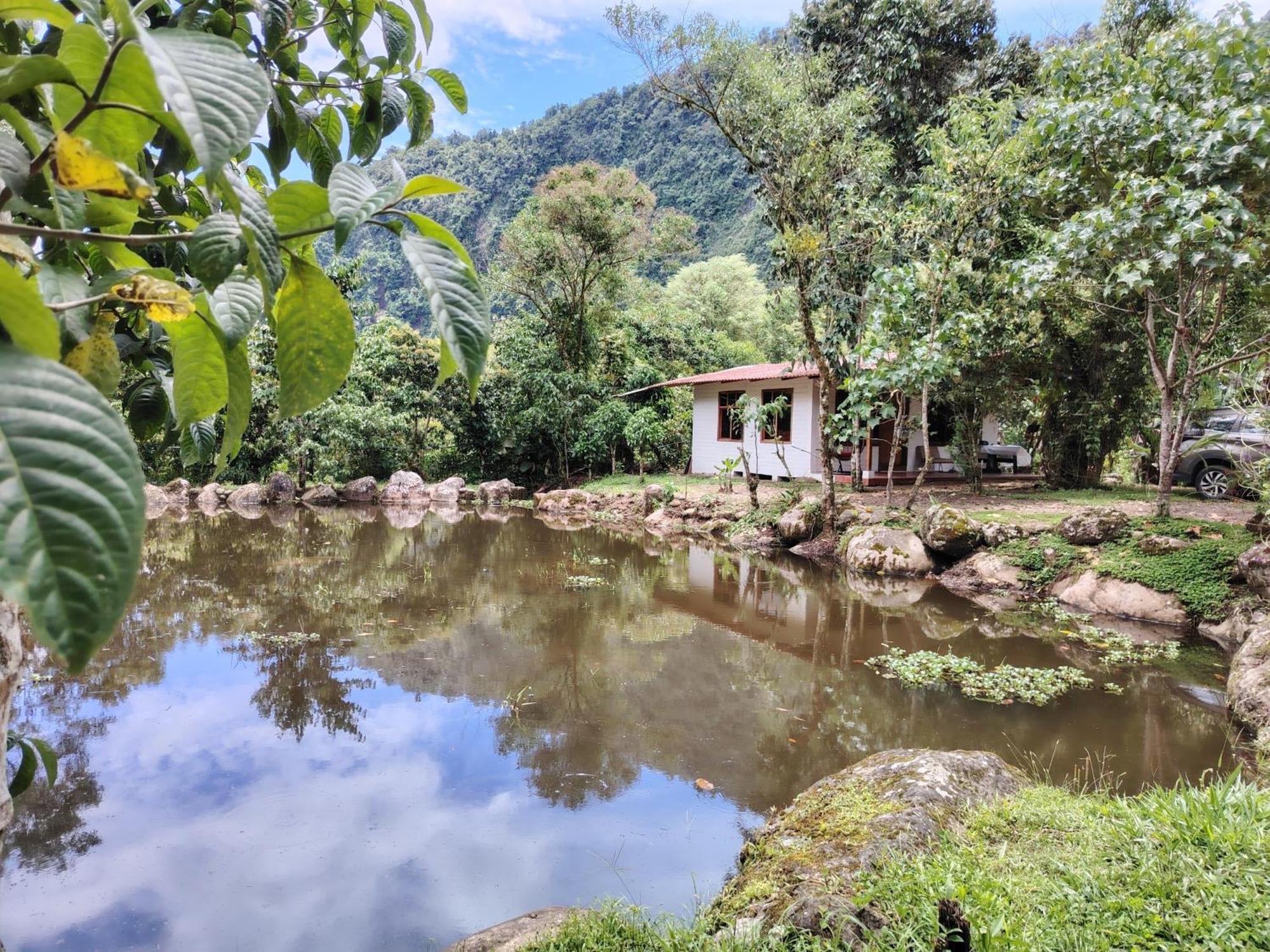 Casa San Luis * Mindo