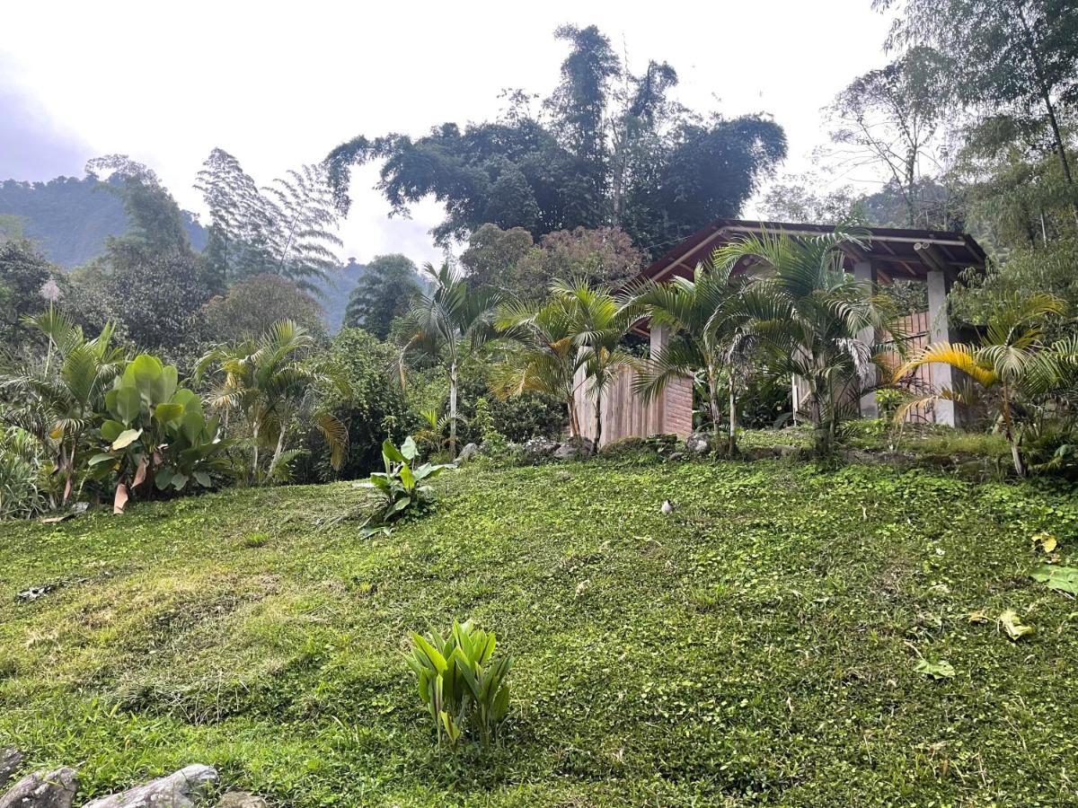 Casa San Luis Apartment