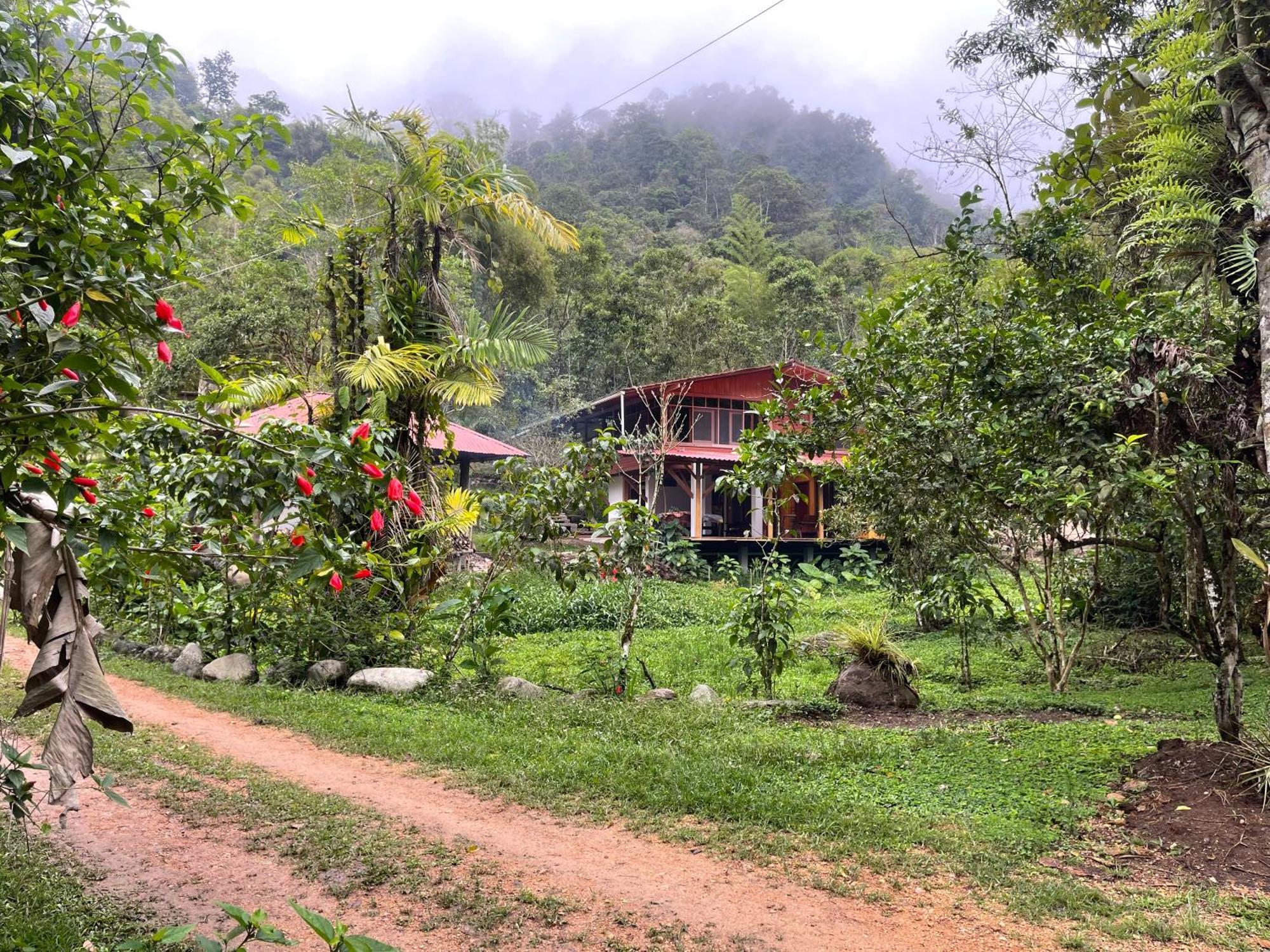 Casa San Luis * Mindo