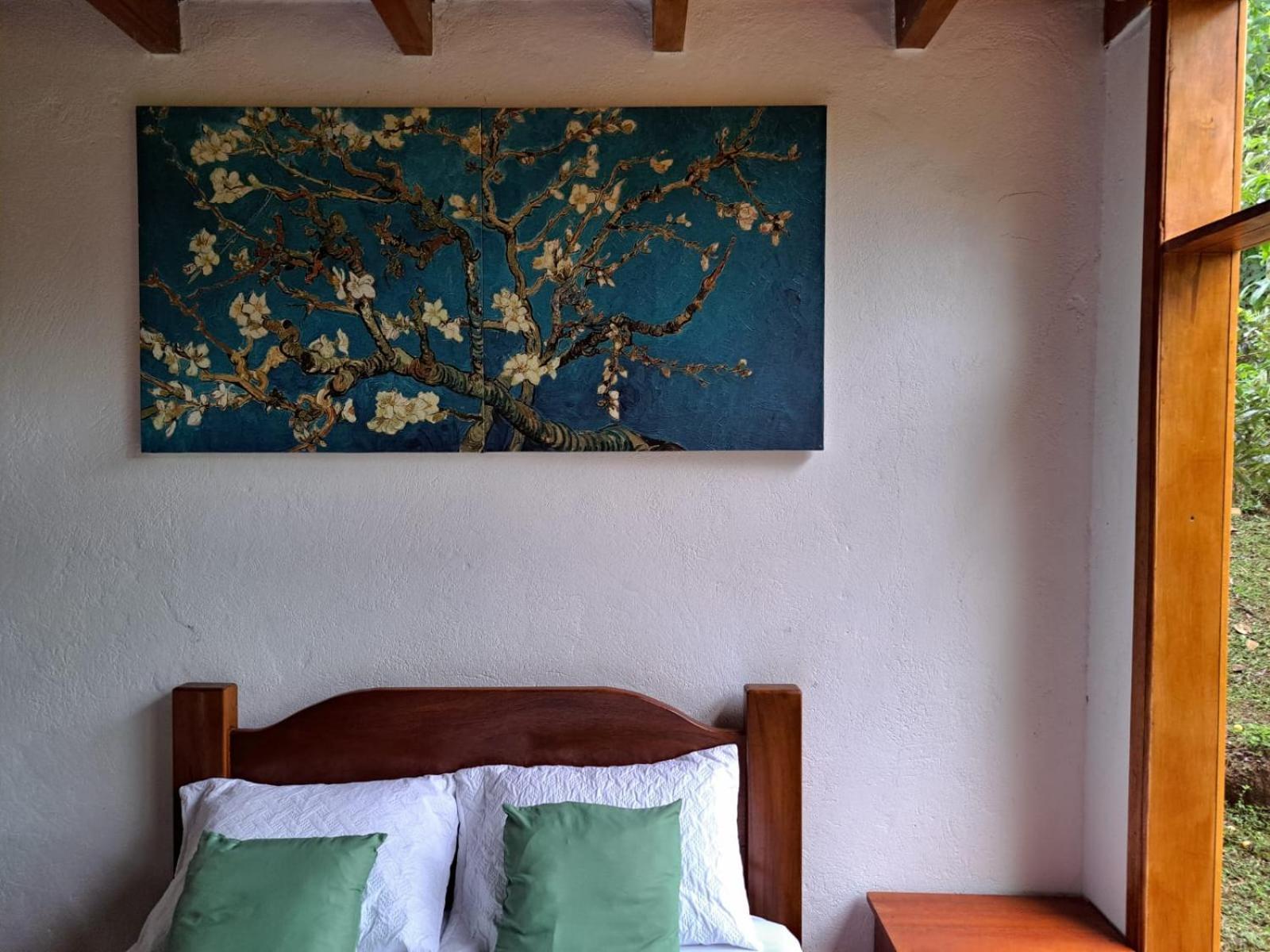 Casa San Luis