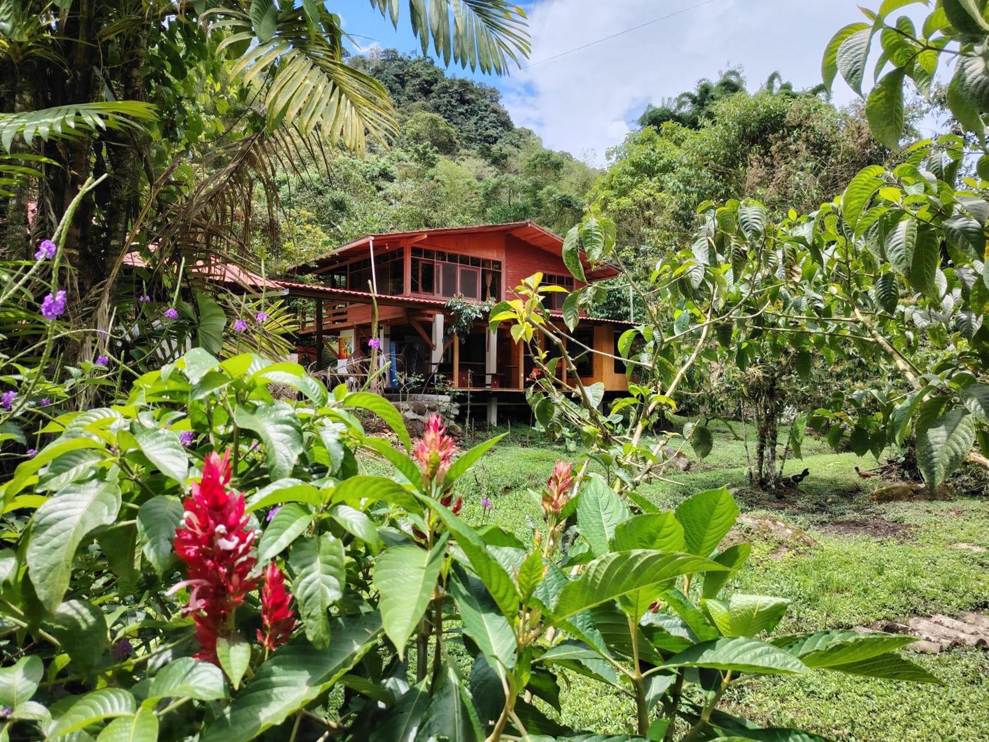 Casa San Luis